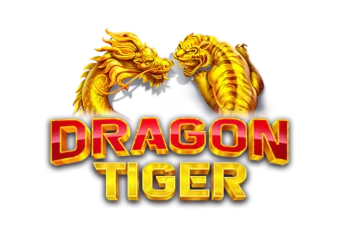 First Person Dragon Tiger