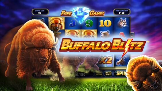 Buffalo Blitz 2